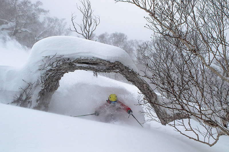 niseko-japan-deep-powder-skiing